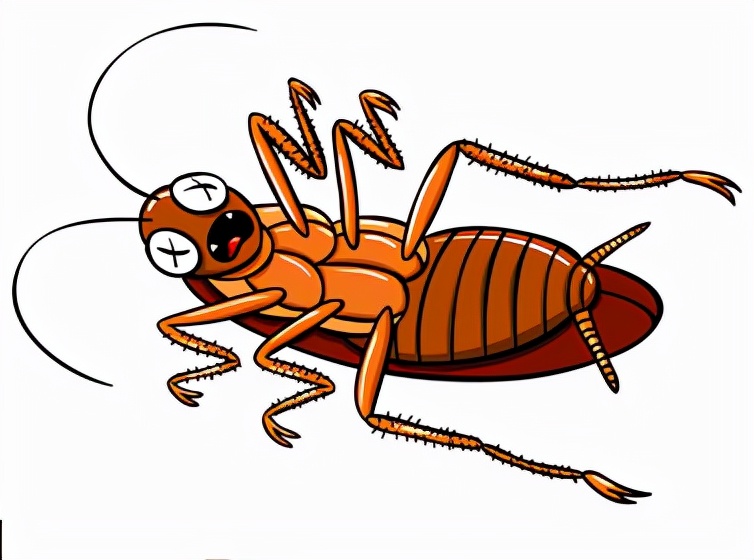 蟑螂没有头能存活很久是真的吗,蟑螂为何遭受巨大打击也能存活