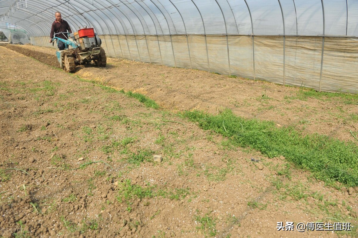 胃部难受是胃病还是心脏病,胃持续疼痛警惕四种胃病