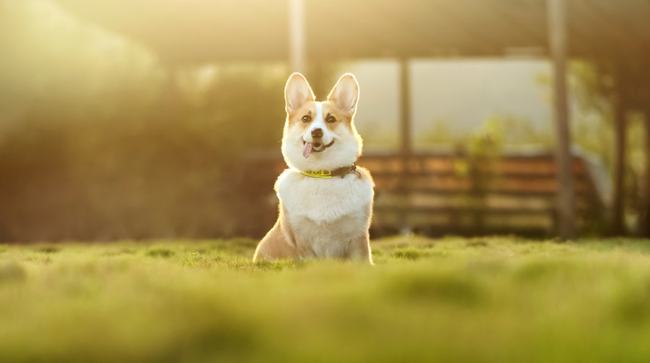娓╁窞涓氫富闂圭炕浜嬩欢鍚庣画,娓╁窞涓氫富闂圭炕浜嬩欢