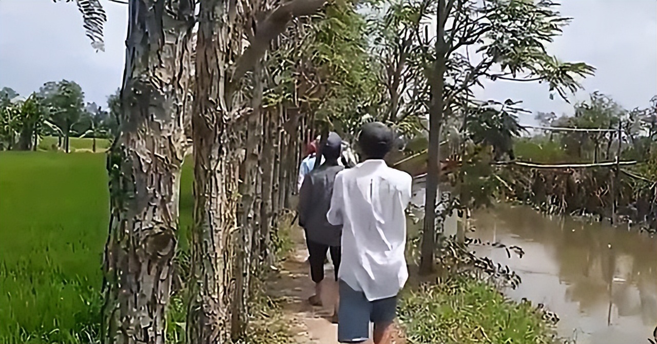 吉林农妇好心收养毒蛇,吉林农夫好心救了一条毒蛇