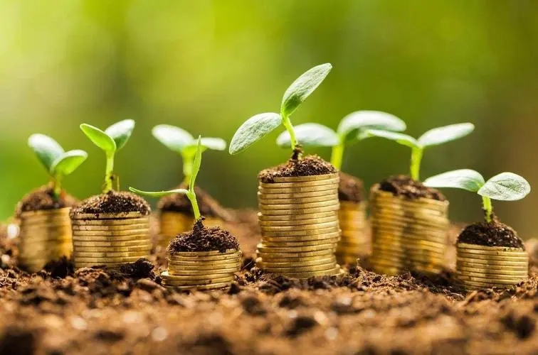 金融学专业与投资学专业,金融学投资方向