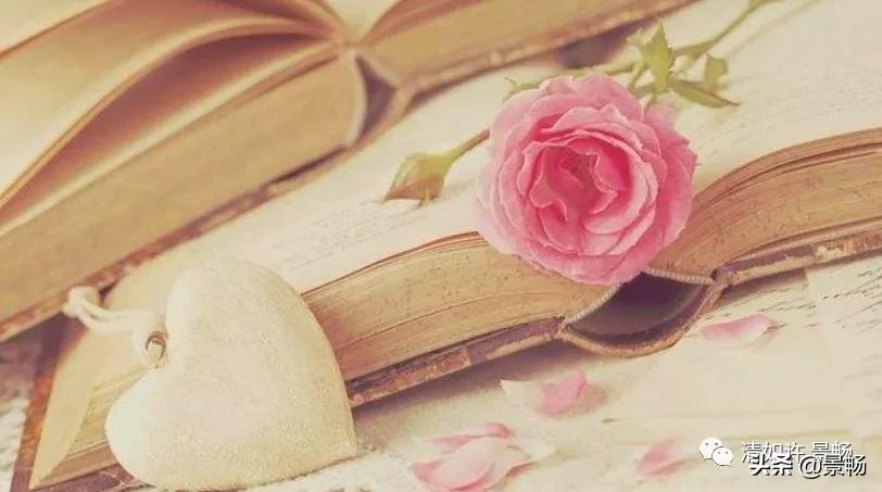 自己只管努力其他一切顺其自然,你只管做自己一切都是最好的安排