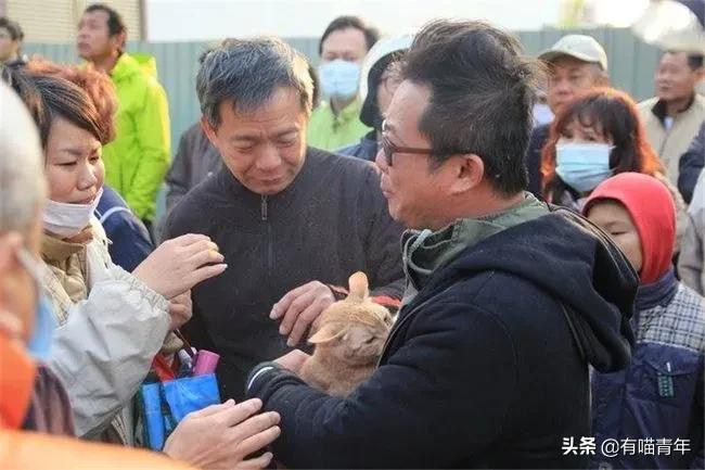 养猫有细菌浪费钱吗,养猫有用吗