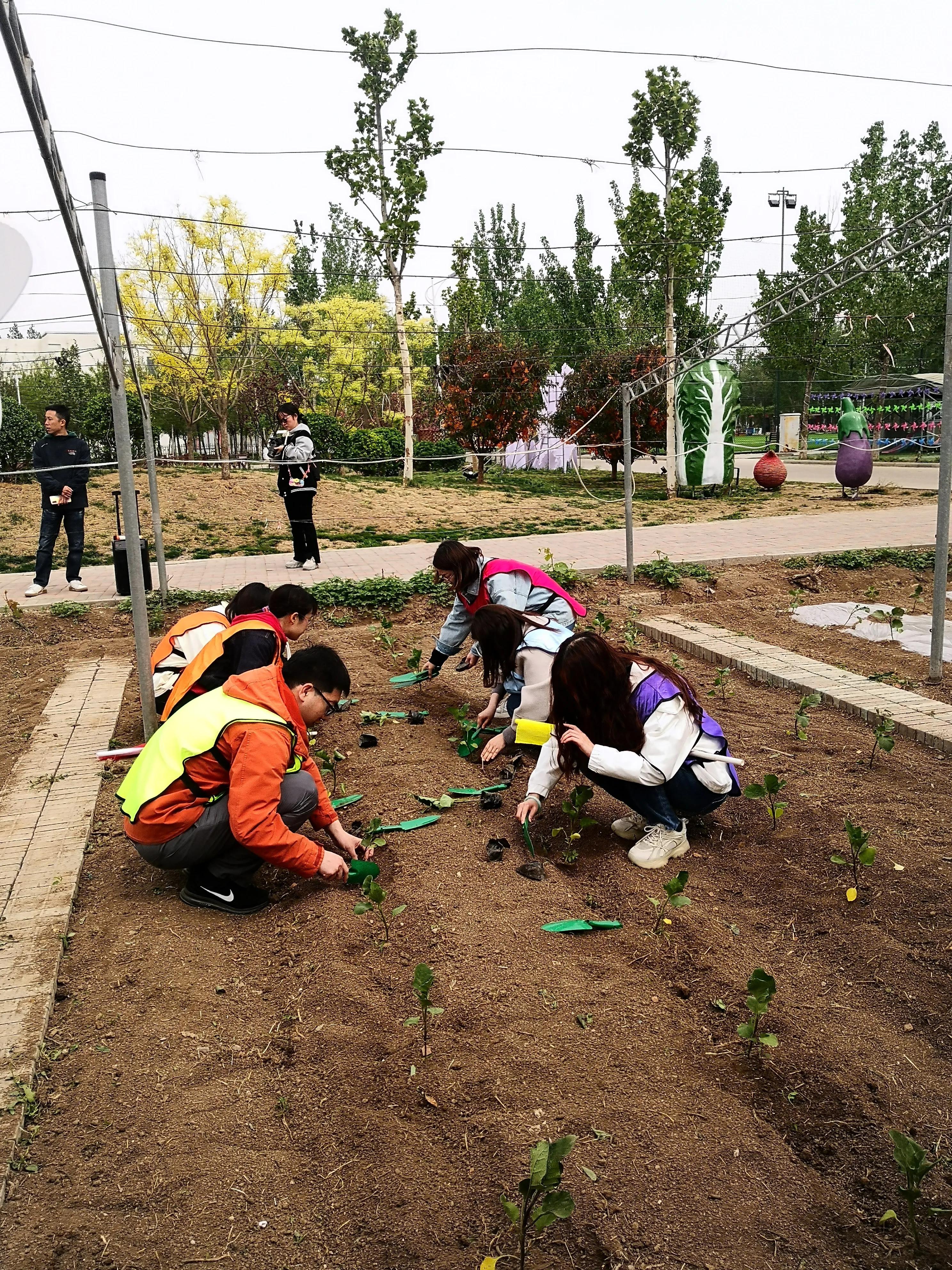 好玩的地方北辰区,好玩的地方天津北辰