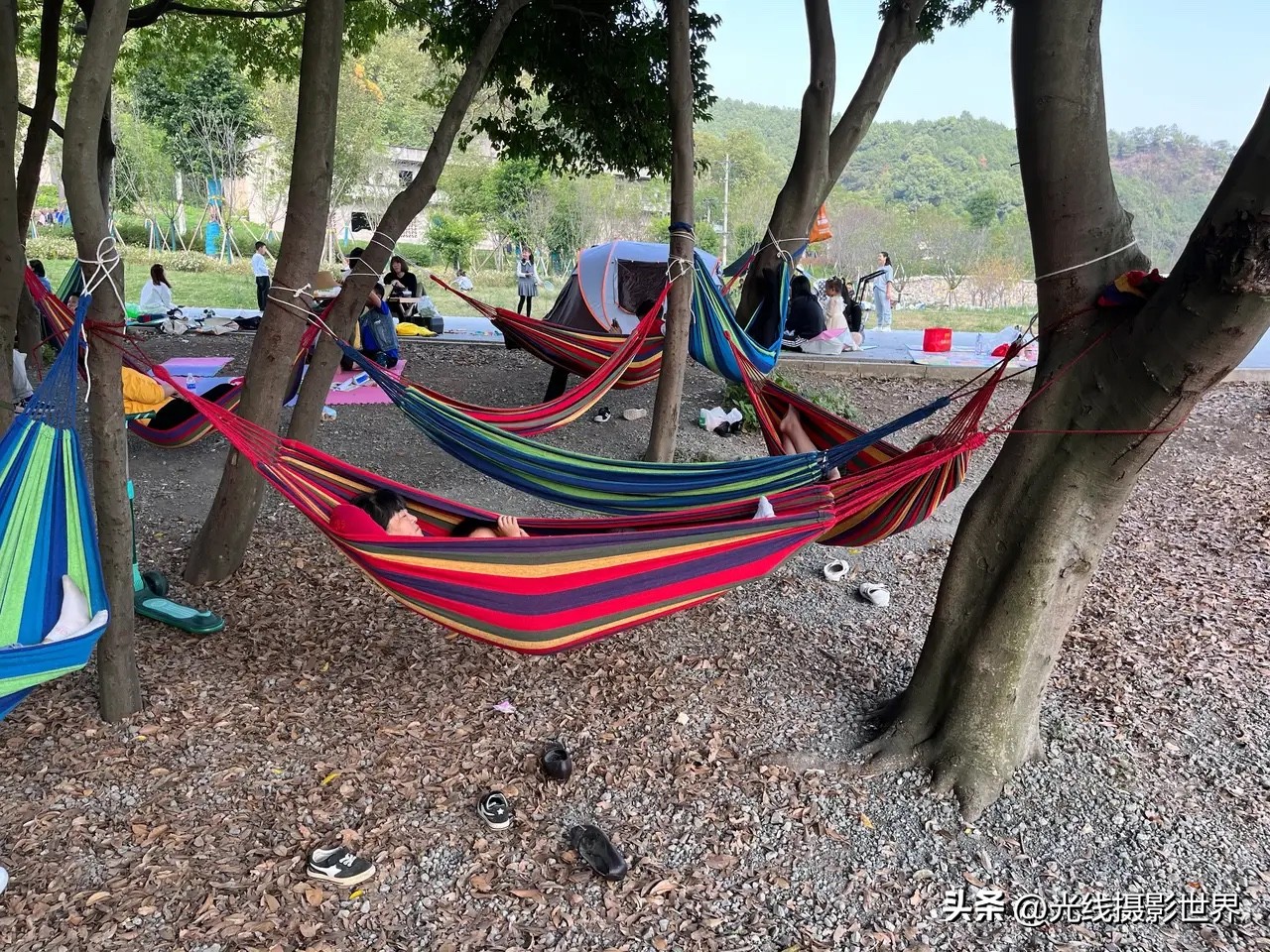 花博园露营详细攻略,重庆森林露营地推荐