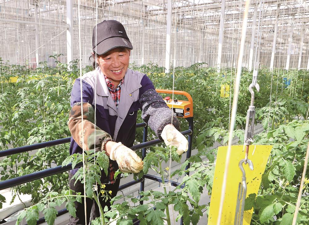 接续奋斗未来可期——从政府工作报告看吉林振兴机遇