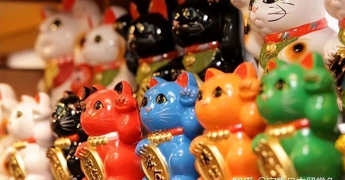 为什么有招财猫却没有招财狗鱼,为什么只有流浪猫没有流浪狗