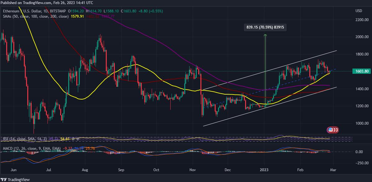 以太坊回调后年底涨回4000美金吗,以太坊突破2600美元