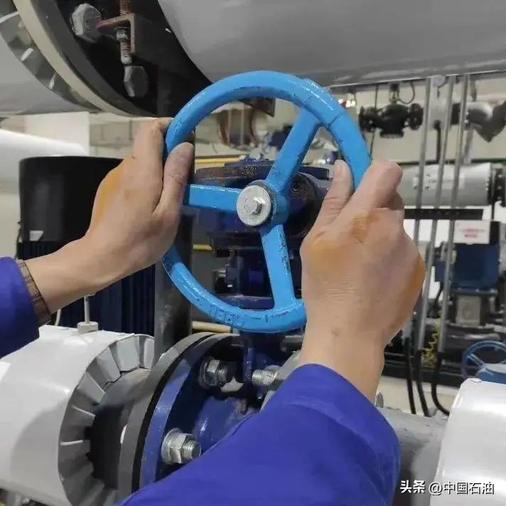 特别策划案例,特别策划系列