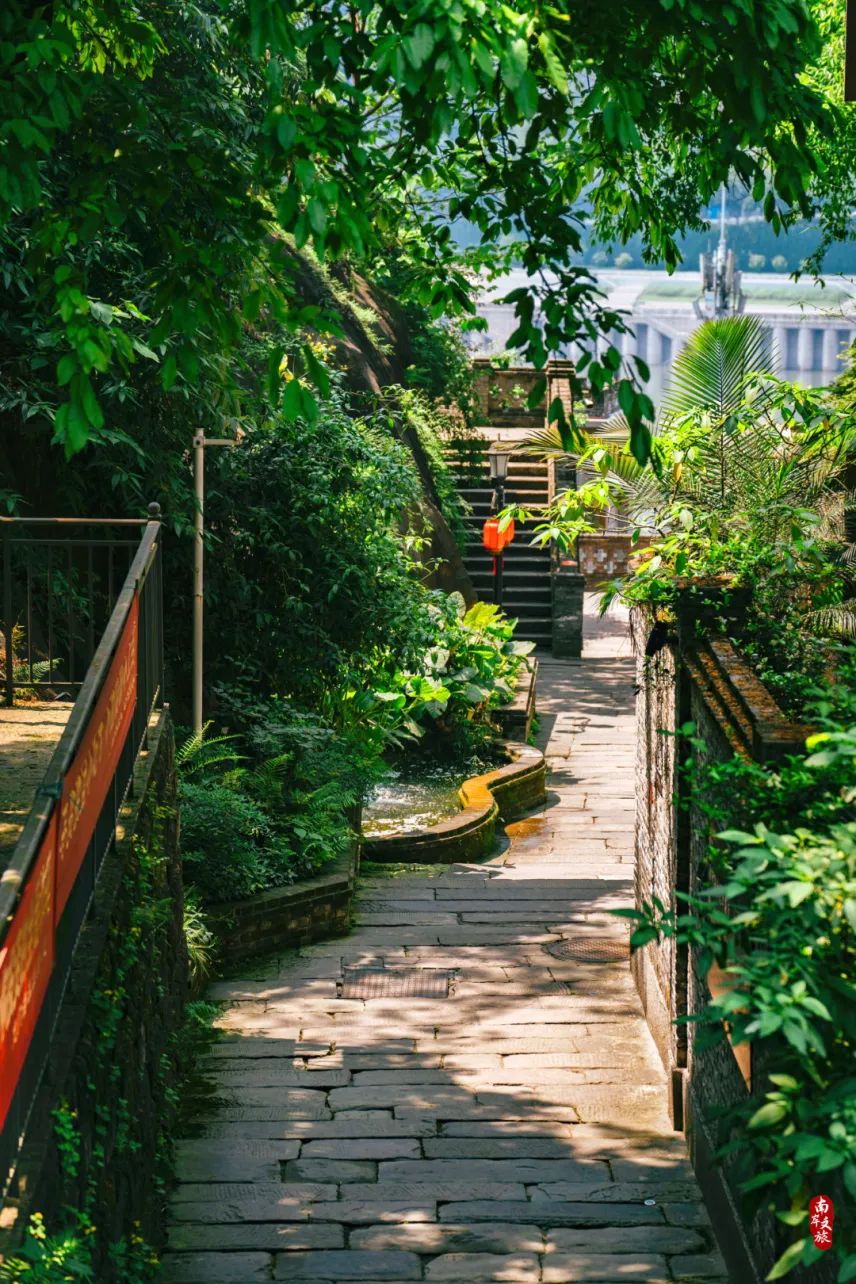 1500米以上南川避暑地推荐,南岸周末避暑景点有哪些