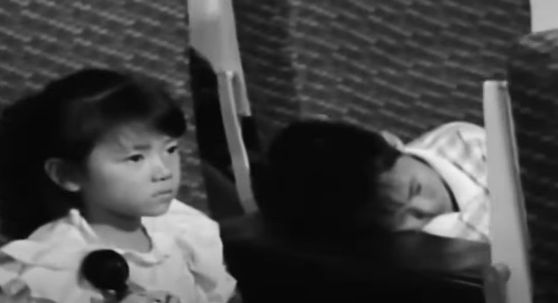 领养海外孤儿,外国人收养孤儿背后的真相