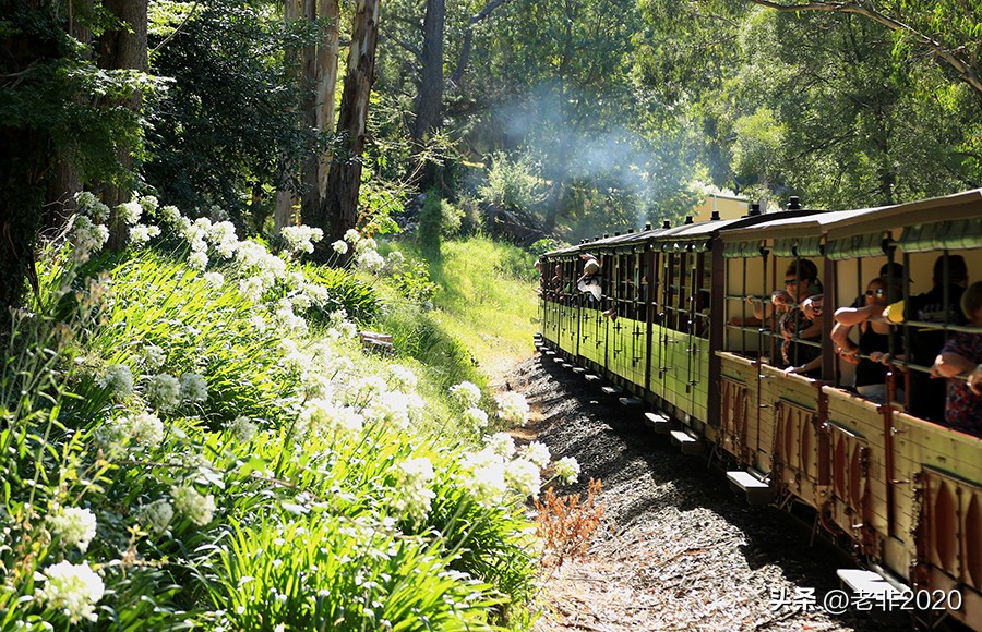 曾背着两块大石头坐火车旅行,再推荐7个铁路文化旅行目的地