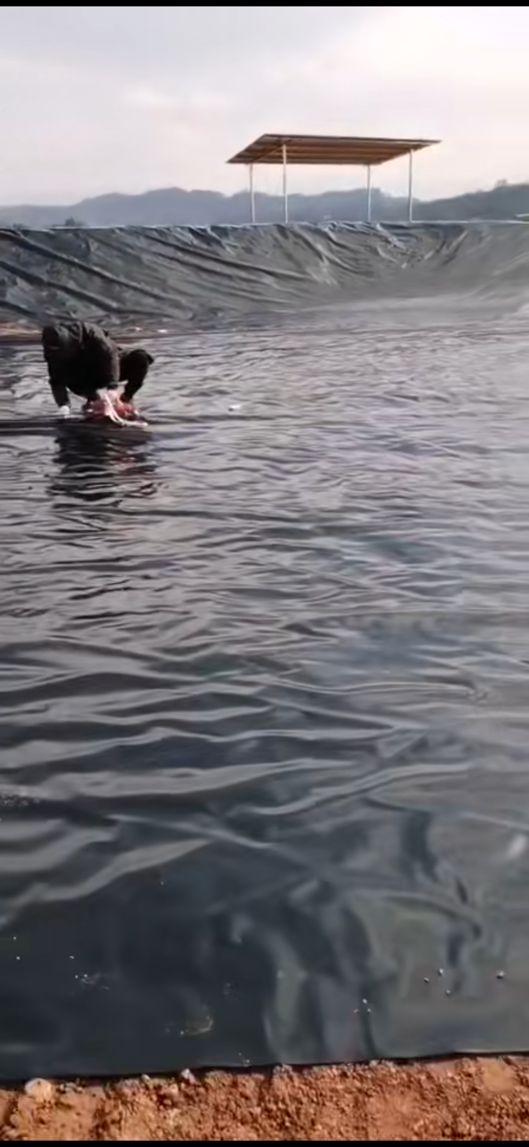 辽宁鱼塘护坡用土工膜还是防渗膜,鱼塘防渗除了防渗膜还有什么方法