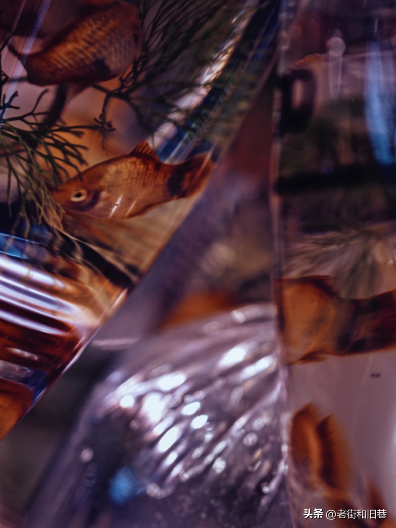 罗生门和黄粱梦,罗生门香港live