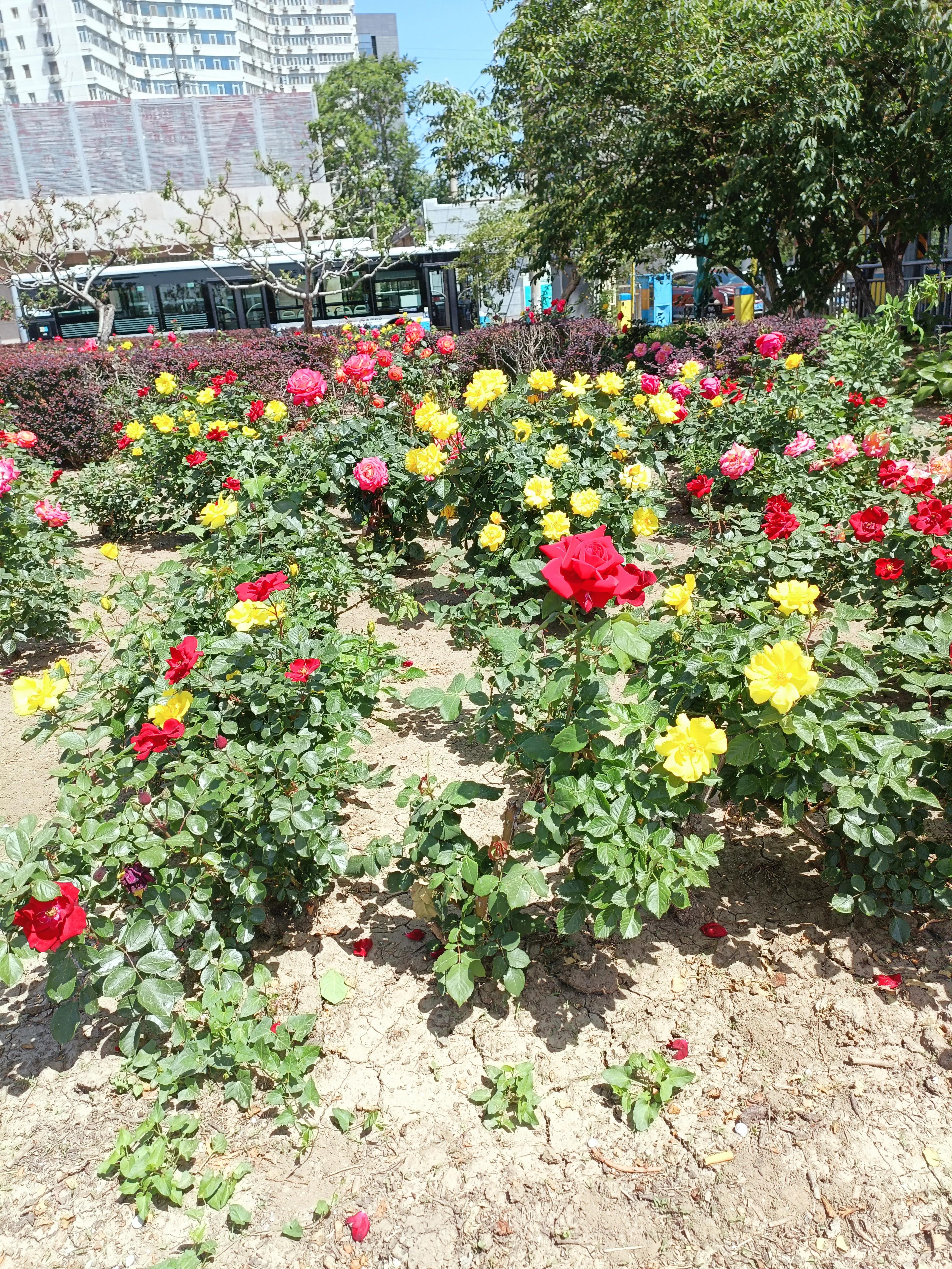 门前放铜钱应该说什么吉利话,宅西有路财神光顾有什么说法