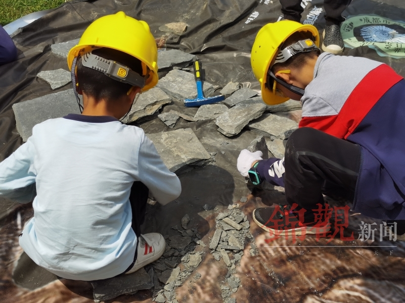 制作标本、植物拓染、望远镜观鸟2022成植生物多样性自然嘉年华来啦