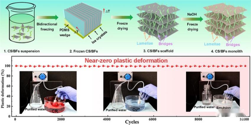 共轭聚合物的结构特点,共轭聚合物
