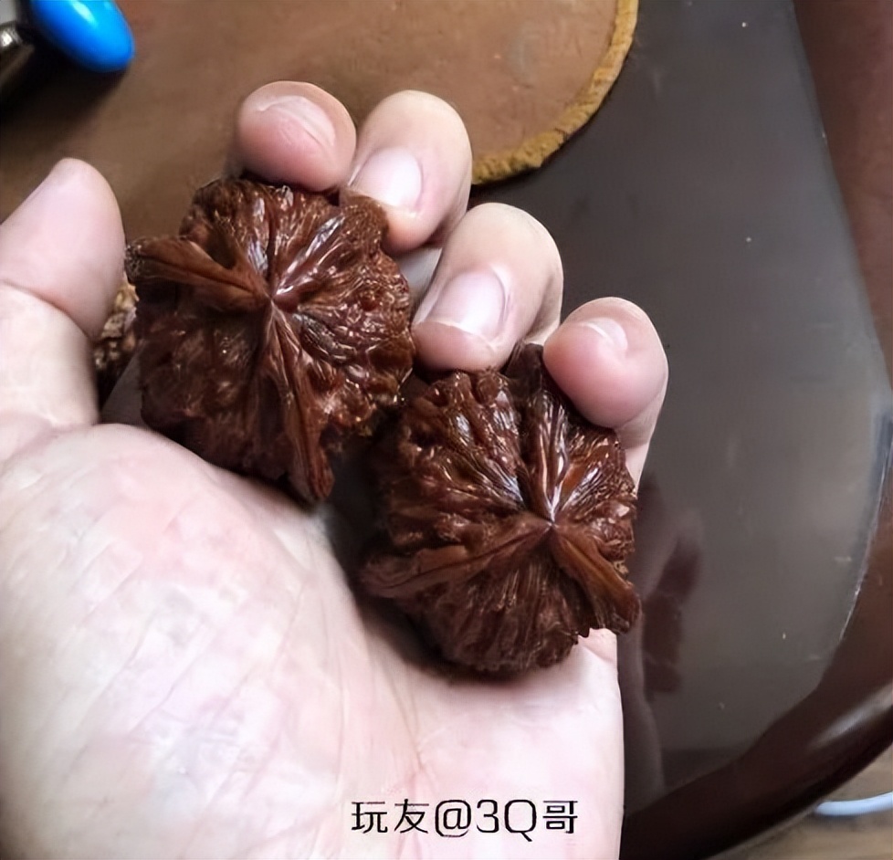 那些树籽手串中的“茅台”,凭什么卖这么贵