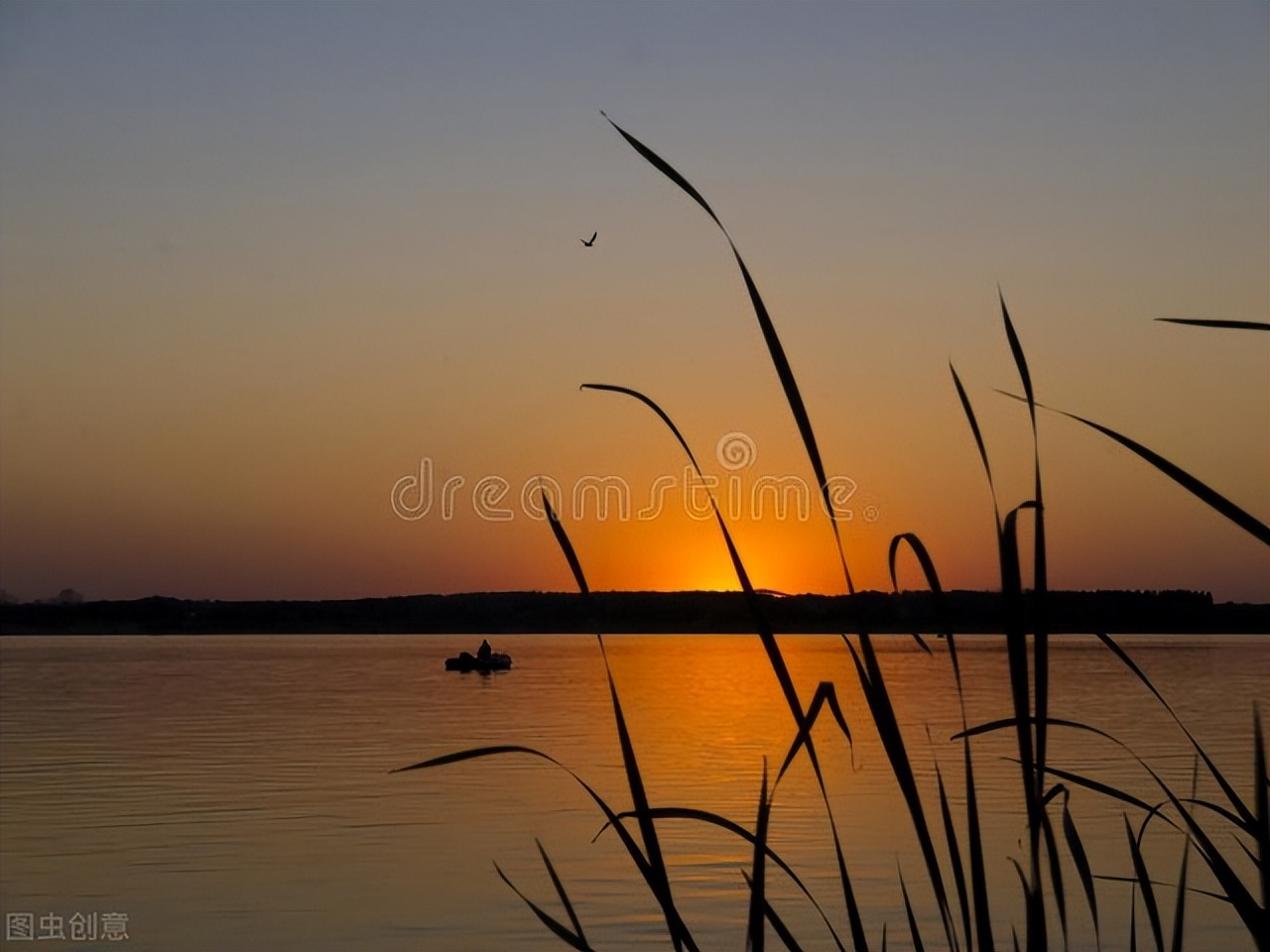 夜钓不开灯能钓到鱼吗,夜钓天冷不上鱼怎么办