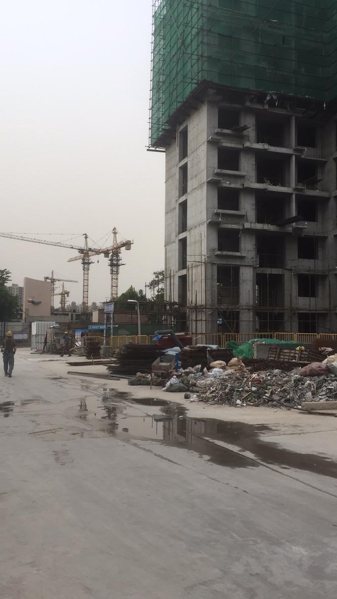 我的1997从1997开始小说,我的1997小说在线阅读