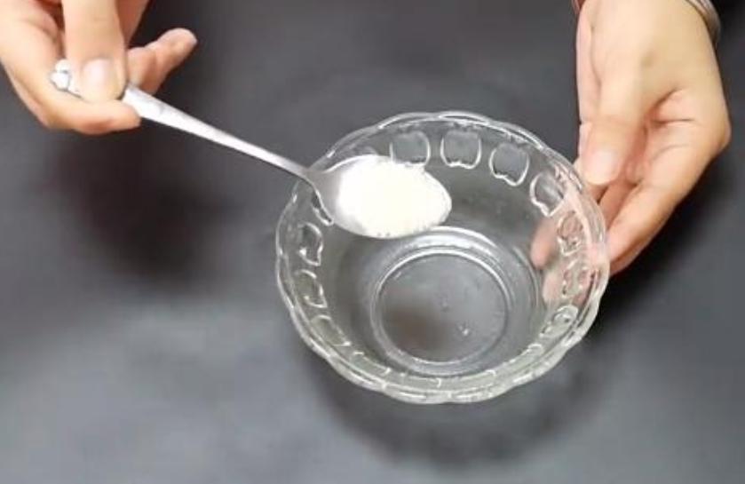 博美狗狗肾脏衰竭吃什么,博美病了不吃狗粮怎么办