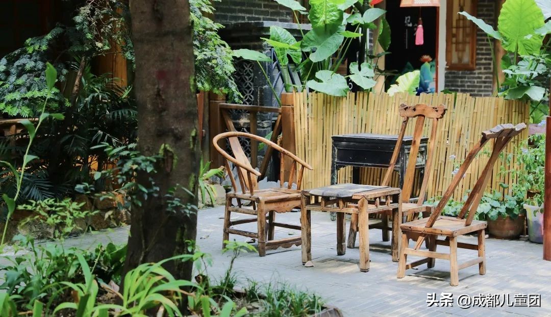 泡桐树街在哪里,泡桐树街现状