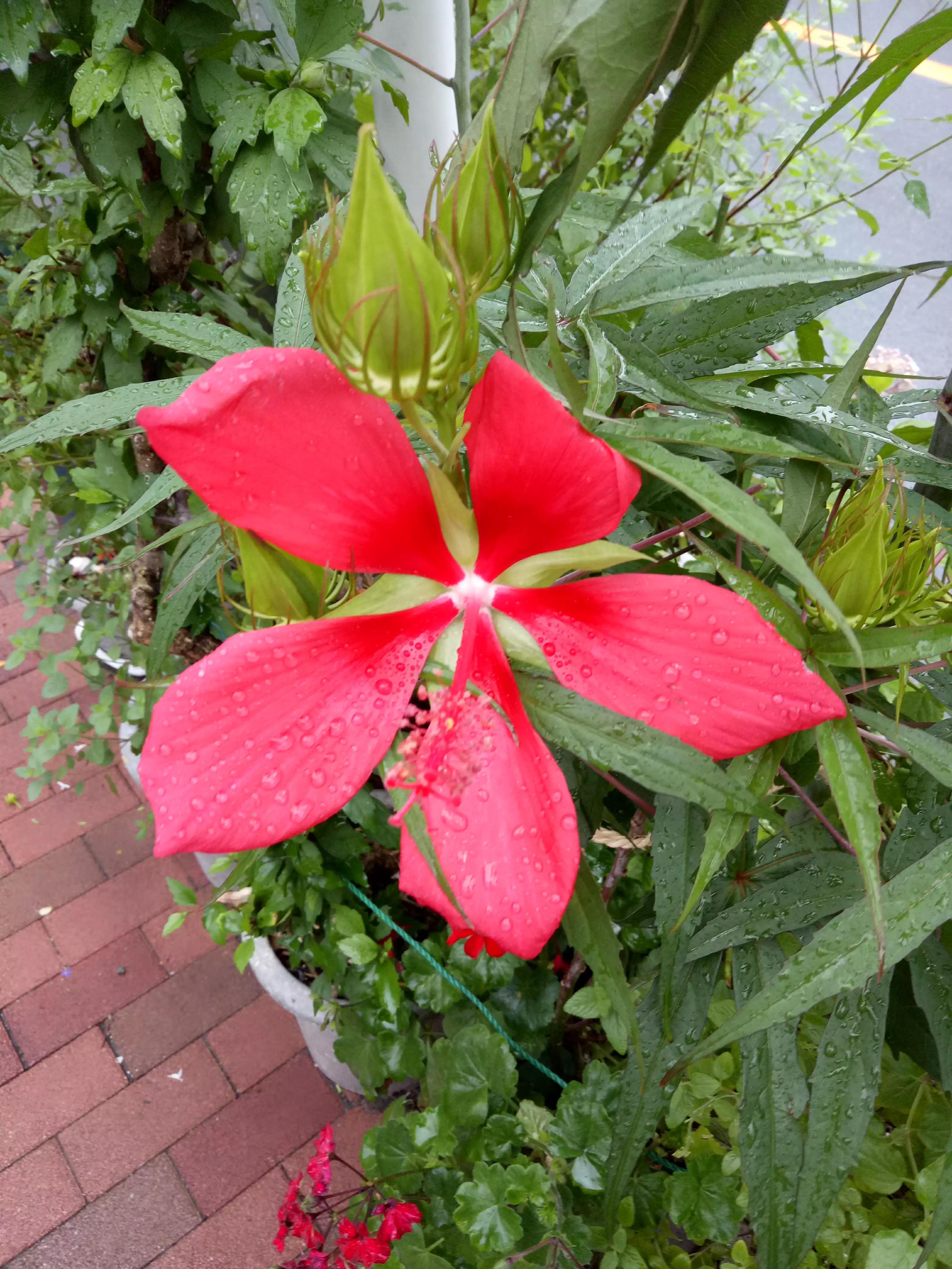 整理一些老照片,手机相册怎么分类整理