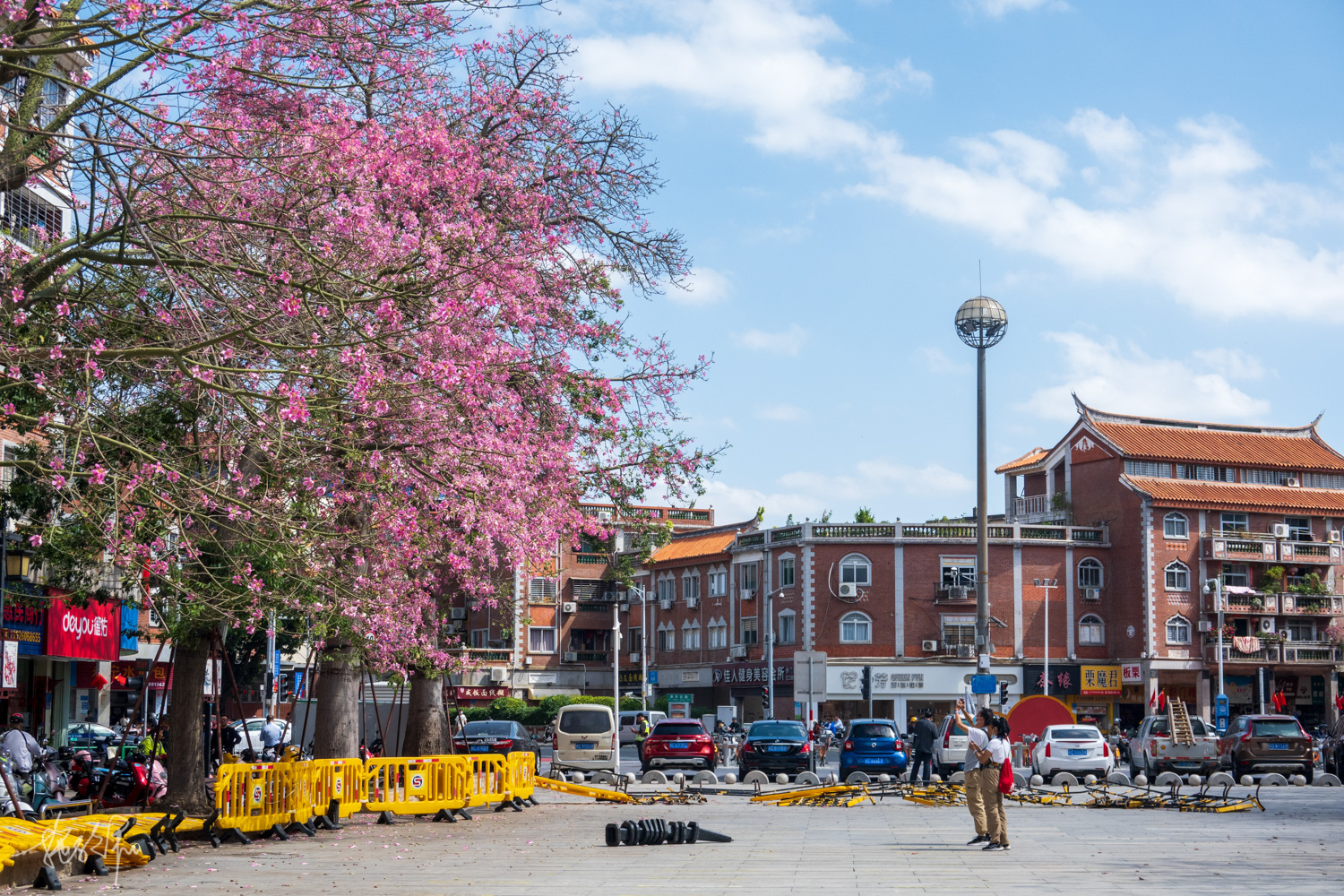 我的2022年度报告,我的2022原版