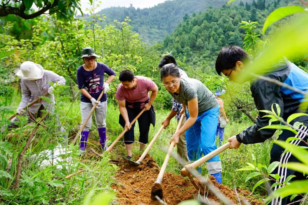裸辞女教师云南,辞职女教师隐居山村多年