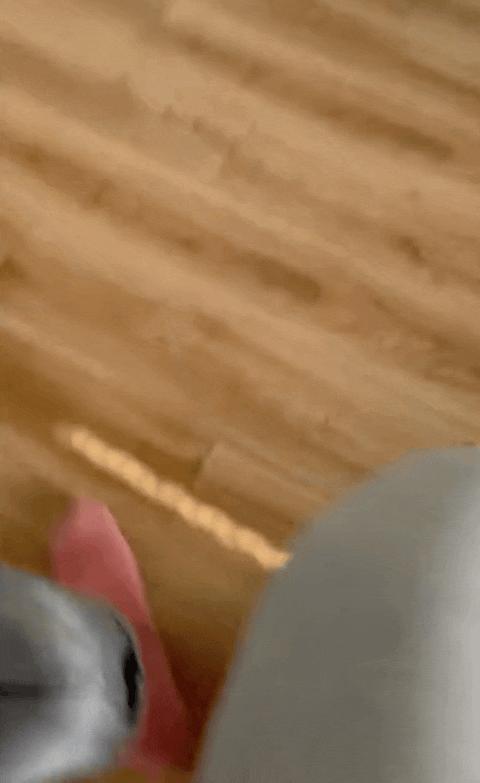 那些以为很贵其实很便宜的球鞋,盘点那些非常贵的球鞋