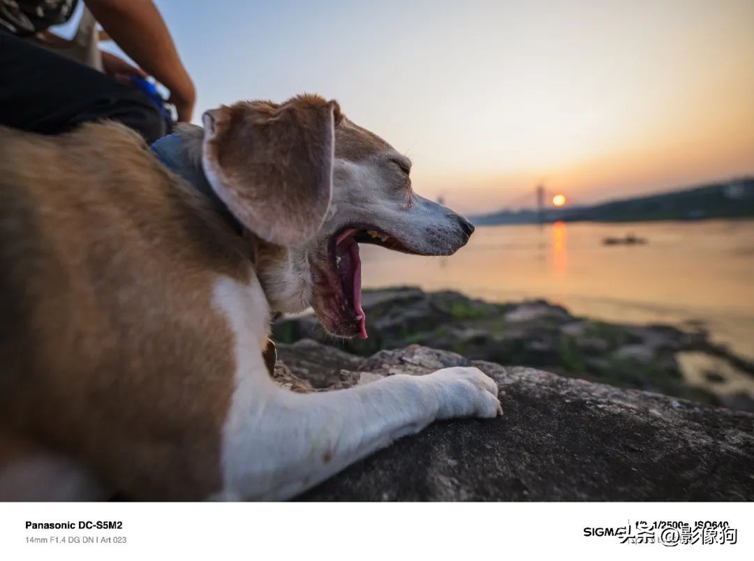 适马14-24mmf2.8镜头,适马14mm对比索尼14mm