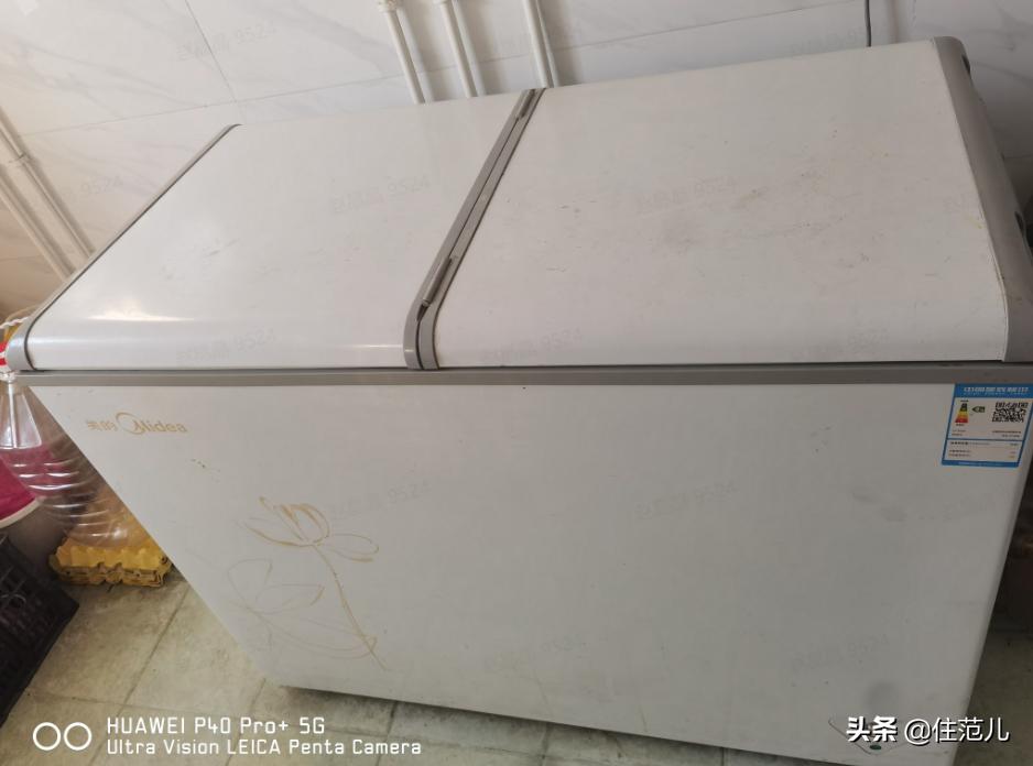 人人抢破头的冰柜，我劝你先别买