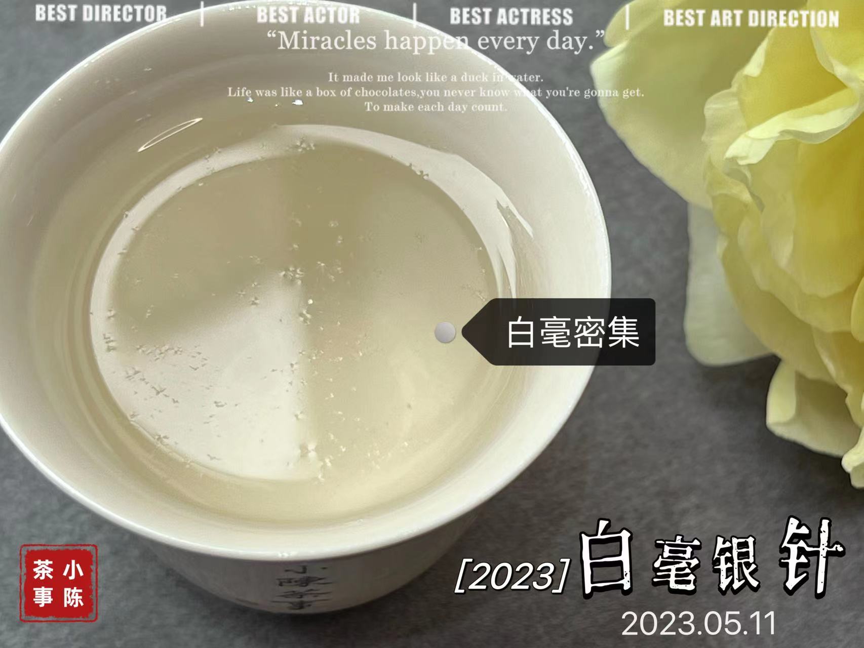 白茶白毫银针与白牡丹哪个好,白茶是买白毫银针还是寿眉牡丹王