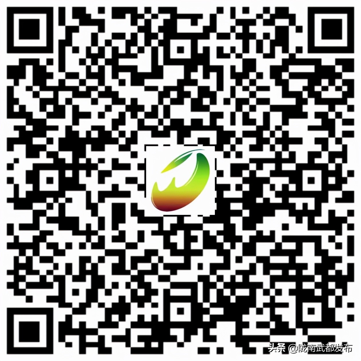 武都上春晚,甘肃陇南春晚直播