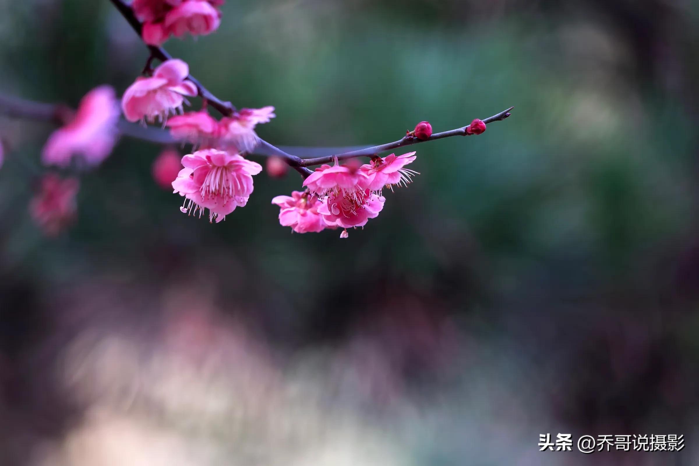 摄影重要还是后期重要,摄影和后期哪个重要