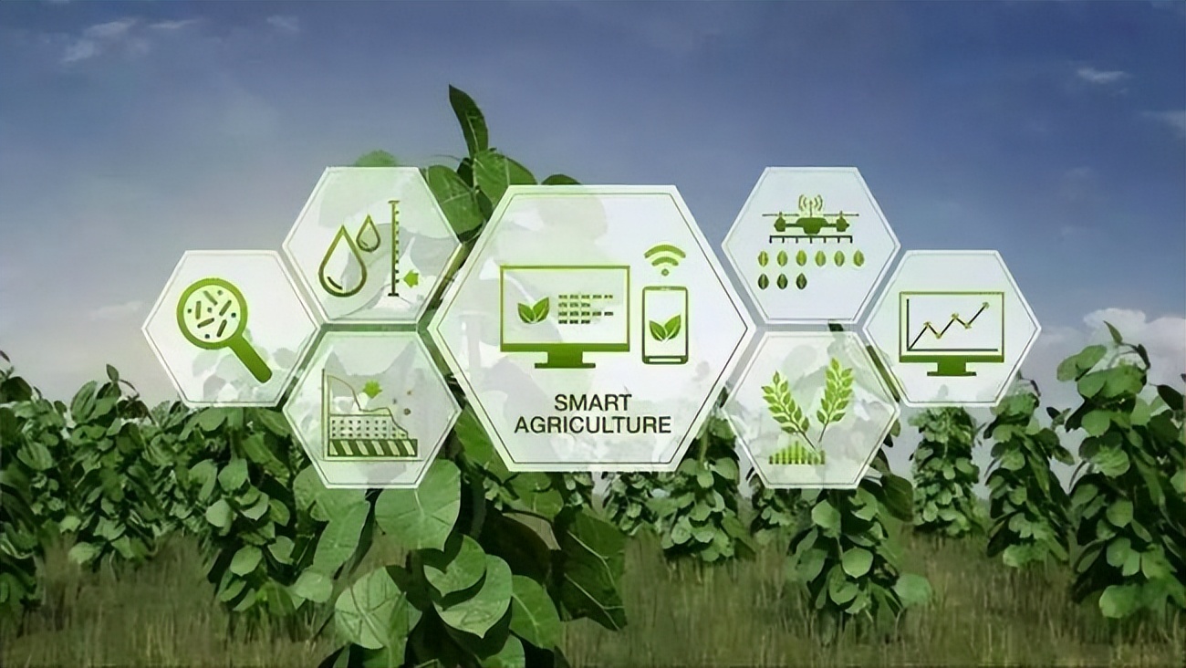 农作物发展的现状及变化,俄罗斯农业发展状况及主要农作物