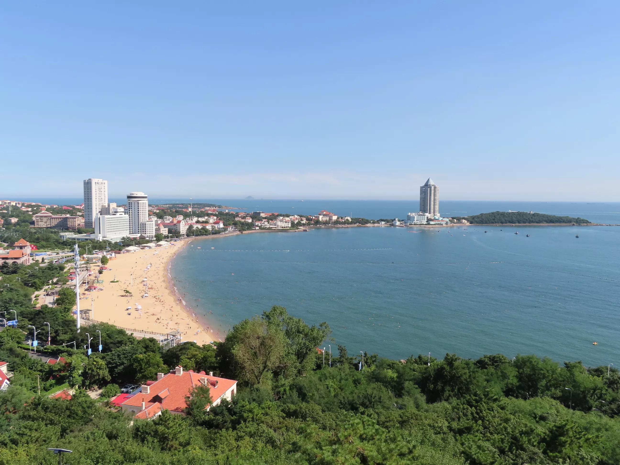青岛的海,青岛的海鸥