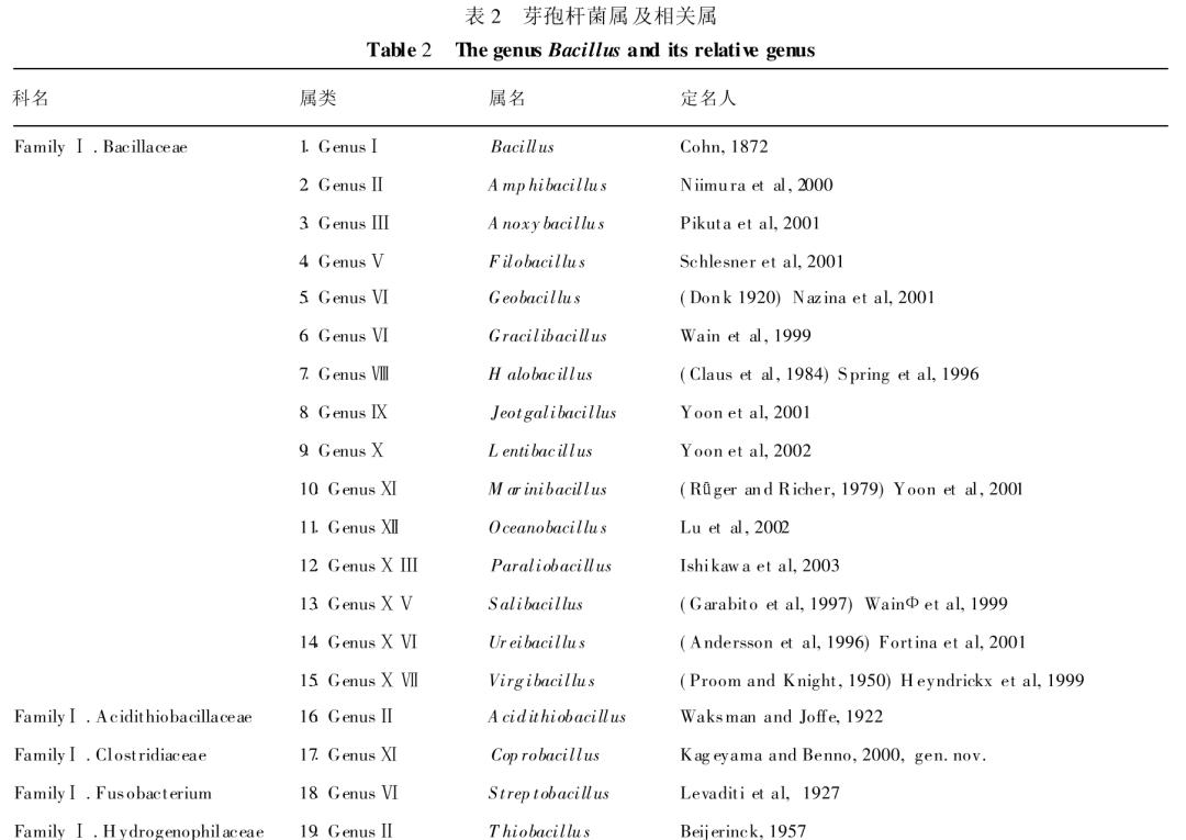 芽孢杆菌被你忽视的益生菌之王,芽孢杆菌抑制有害菌
