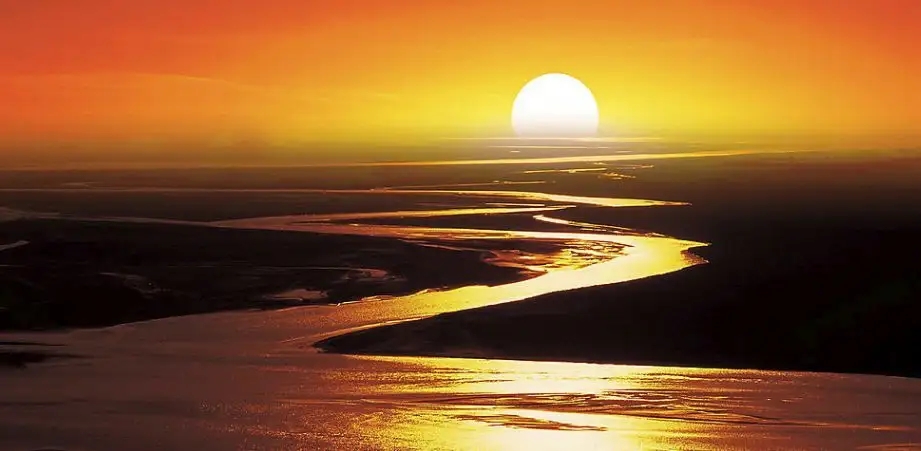 黄河里面都有哪些鱼种,黄河怎么野钓鱼