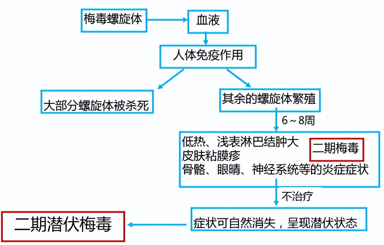 梅毒的病因和起源,梅毒的起源病因及症状表现
