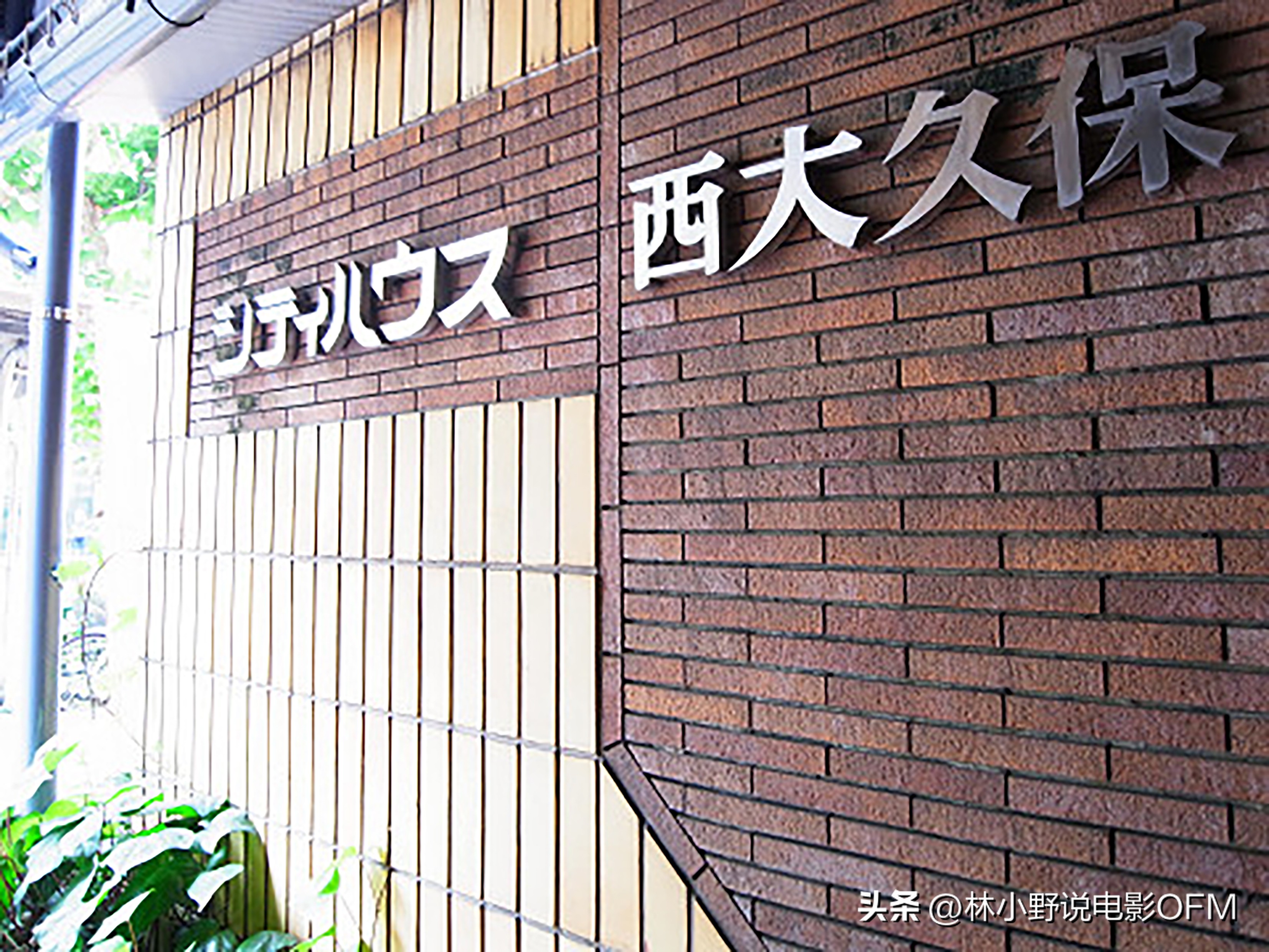 从三船敏郎那里借来的“真由美”，《追捕》幕后的20个冷知识