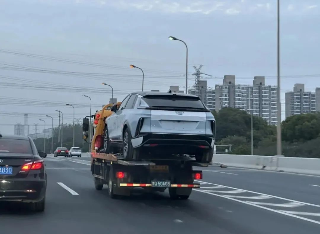 翻身当大哥,锐歌行不行?|42Test