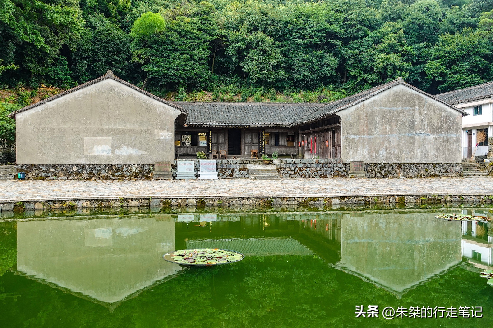 苍南古村落景点打卡,苍南有什么适合打卡的景点