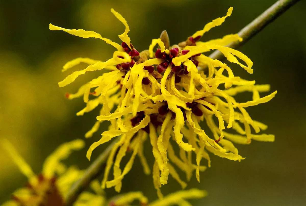 止汗露推荐十大品牌,止汗露排行榜测评