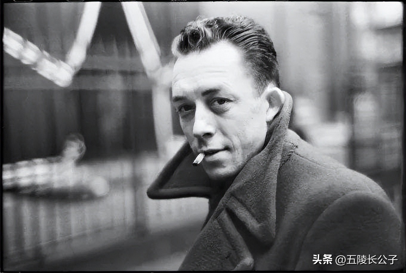 世界文学名著权威译本有哪些,必读的世界文学名著排行