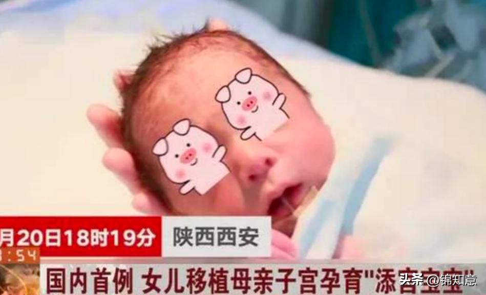 四十三岁母亲把子宫移植给女儿,母亲子宫移植给女儿孩子是谁的