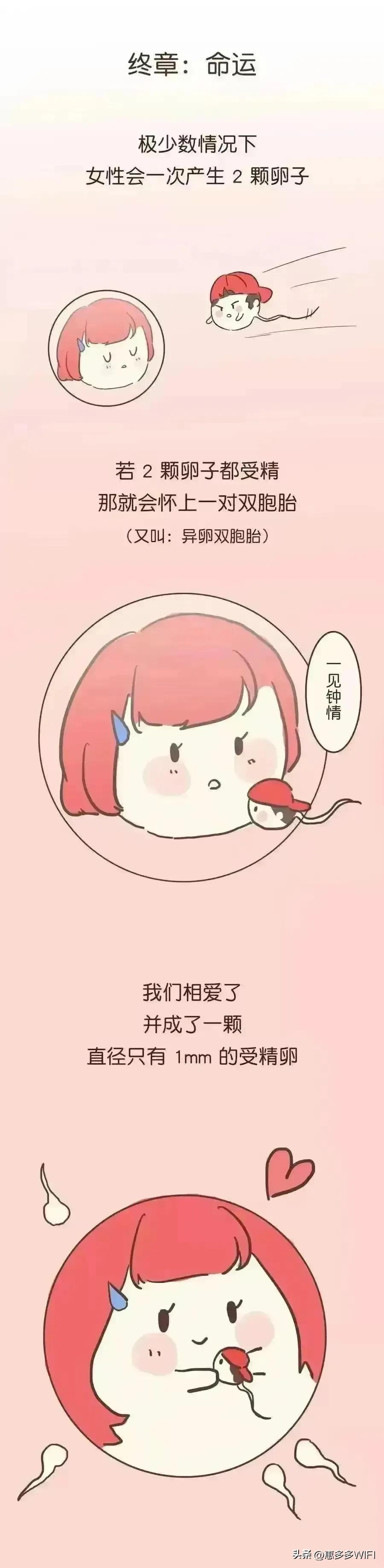 #头条动漫#男人的精子有多励志