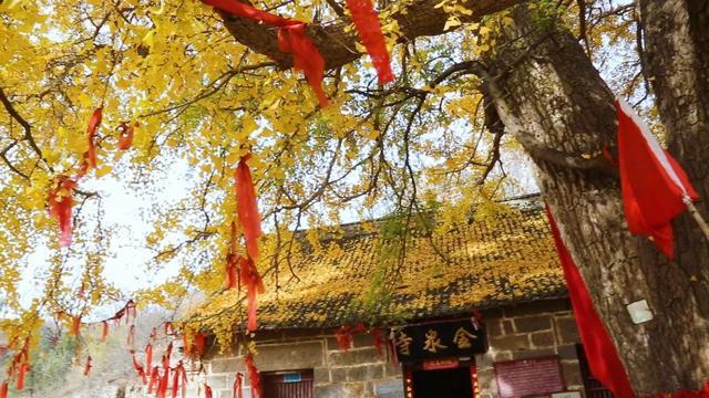 河南省卫辉市,河南卫辉是哪