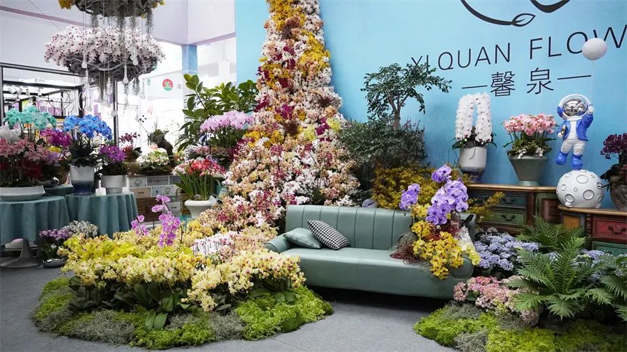 镇店之宝被抢购，“亚洲最美花展”上盆栽“吸睛”又“吸金”