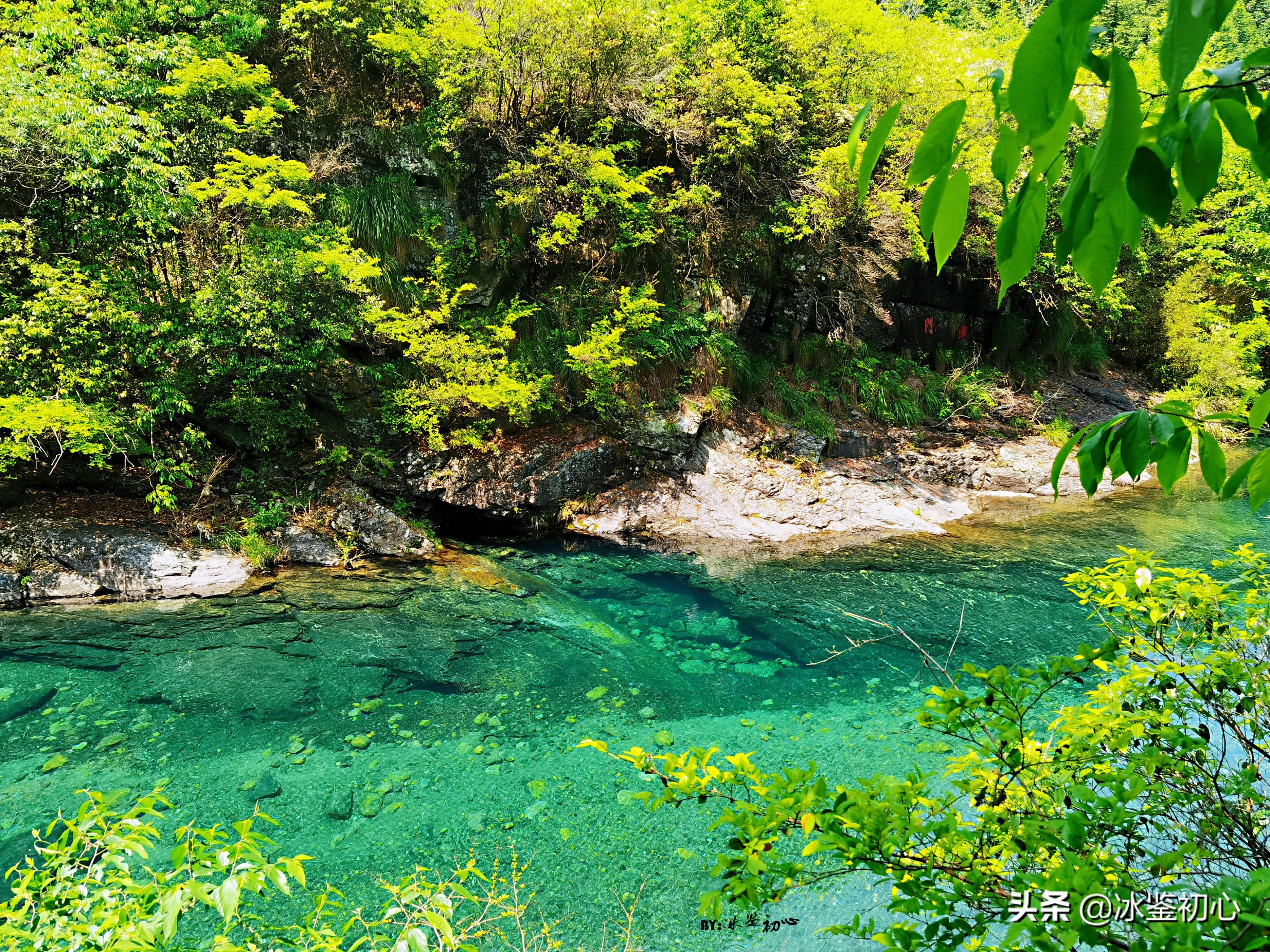 鍦ㄧ壇鐗涢檷鎷嶇殑瑙嗛,鍦ㄧ壇鐗涢檷鐜╃殑璇磋